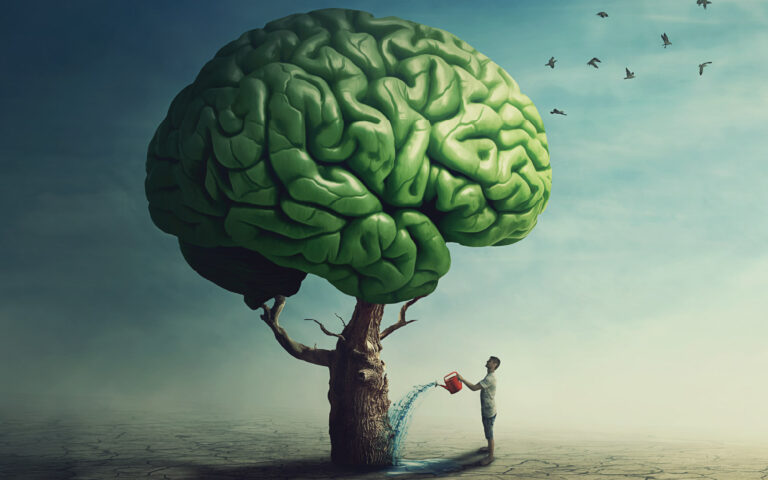 Seceret to supporting brain health