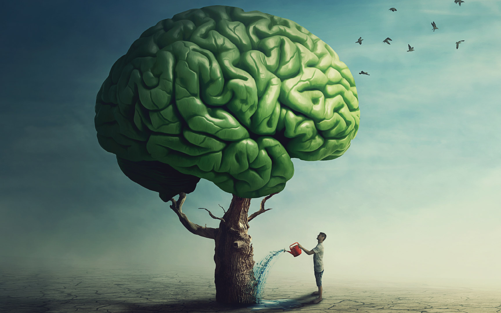 Read more about the article Simple Tips to Boost Your Brain Health